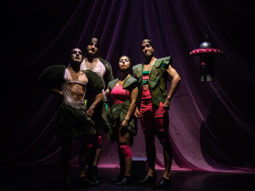 Historia de la estupidez humana